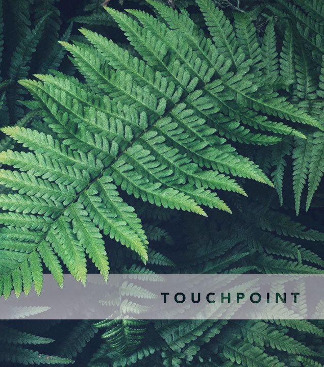 Touchpoint
Tuesdays & Thursdays | 12:30 p.m.
Facebook Live

 
