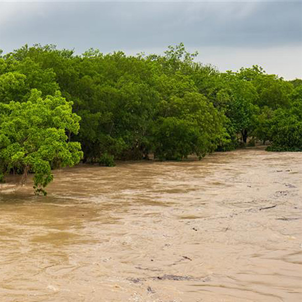 Disaster Relief

Texas Trip

 
